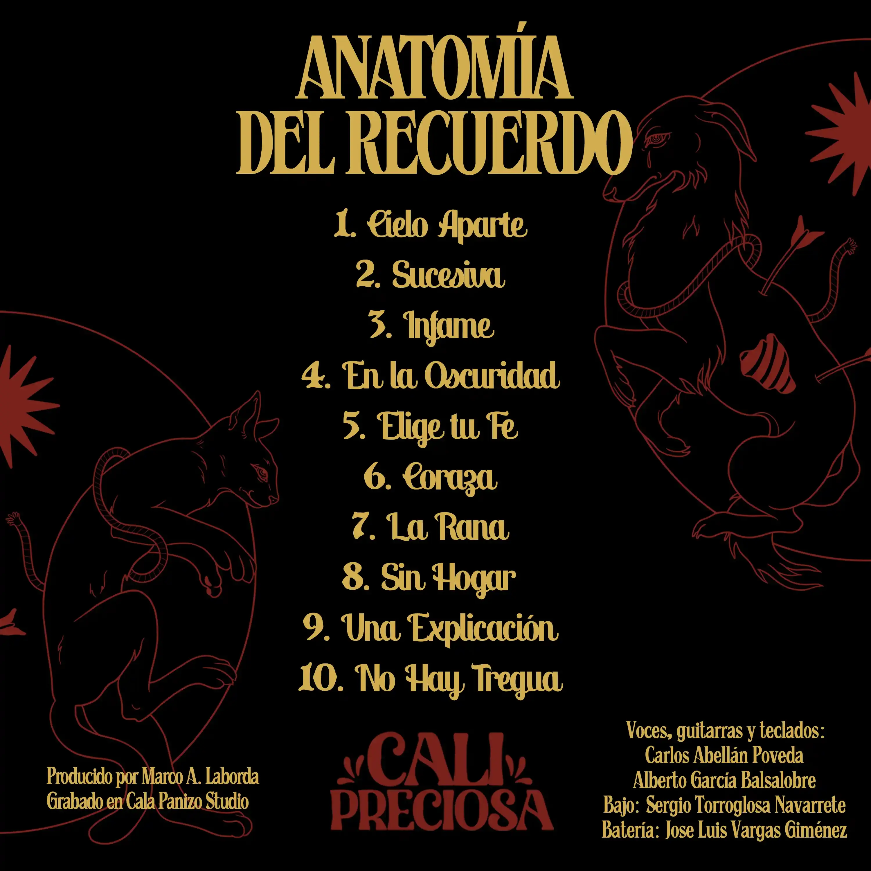 Contraportada Anatomía del Recuerdo